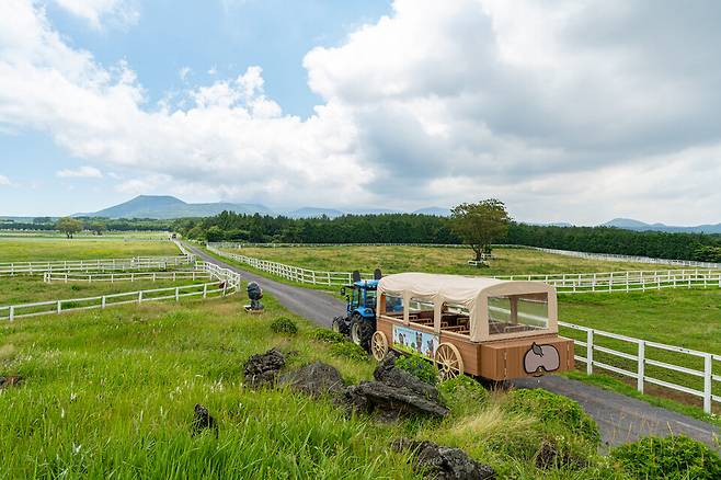 한국마사회 제주목장의 트랙터 마차 투어 ⓒ한국마사회 제주목장 제공