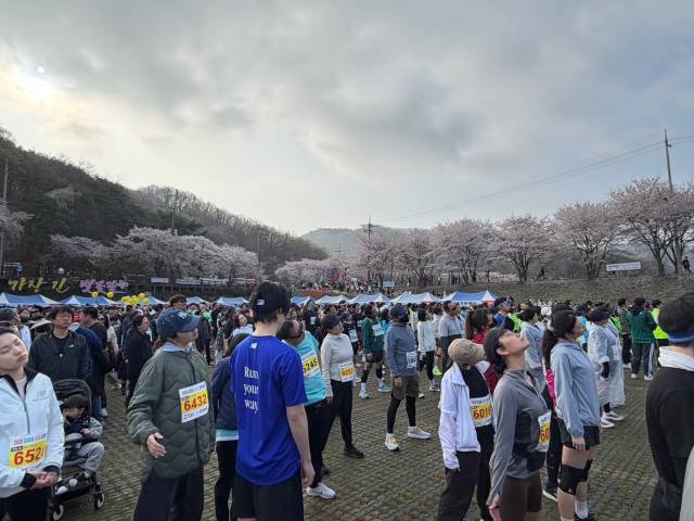 11일 대전 동구 신상동 벚꽃한터에서 '2026 대청호 벚꽃길 마라톤대회'가 열렸다. 사진=정현태 기자