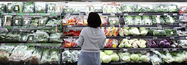 한 시민이 서울의 대형마트 농산물 코너를 살펴보고 있다. [뉴스1]