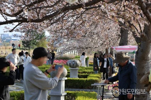 ▲ 11일 강릉 경포호수 일원에서 열린 경포 벚꽃 축제에 인파가 몰렸다. 전국에서 찾아온 봄나들이객들이 경포 벚꽃을 보며 막바지 벚꽃놀이를 즐기고 있다. 황선우 기자