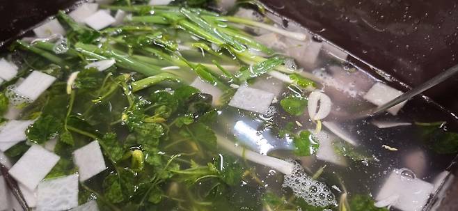 전날 만들었다는 산갓물김치. 이 김치는 아직 ‘미친’ 상태였다. 고 씨는 “김치가 발효되는 과정에서 이도 저도 아닌 맛이 나는 ‘미친 김치’가 되기도 하는데, 사람도 가끔 ‘미친’ 시기가 오지 않나. 사람도 김치도 그럴 때는 그저 기다려주면 된다”고 말했다.