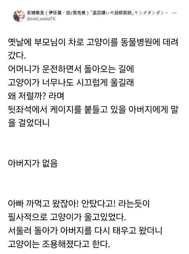 동물병원 다녀온 고양이가 울었던 이유 | 인스티즈