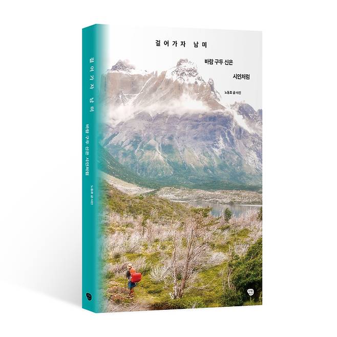 사진 = 나무발전소