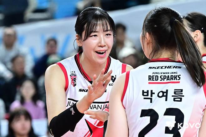 정관장에서 뛰었던 FA 정호영(정면) [한국배구연맹 제공. 재판매 및 DB 금지]