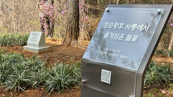 지난 11일 단종(재위 1452∼1455)의 능인 강원 영월 장릉 일대에 남양주 사릉에서 옮겨 심은 들꽃을 알리는 표석이 설치돼 있다. 연합뉴스