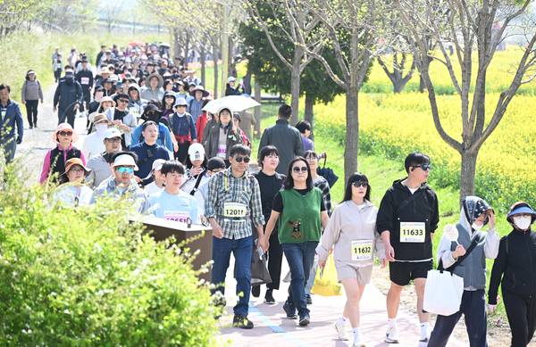 창녕군과 (사)창녕낙동강유채축제위원회, 경남도민일보가 함께한 제9회 창녕 유채꽃 라디엔티어링 행사가 창녕군 남지읍 낙동강변 유채단지에서 열렸다.걷기대회 참가자들이 노란 꽃물결을 따라 걷고 있다./김구연 기자