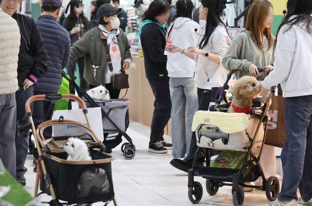 스타벅스 반려동물 동반 매장(위)과 지난달 서울에서 열린 ‘2026 케이펫페어 세텍’ 행사. 스타벅스코리아 제공·연합뉴스