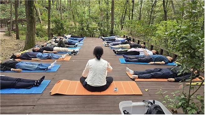 부산시가 운영 중인 산림교육 프로그램.