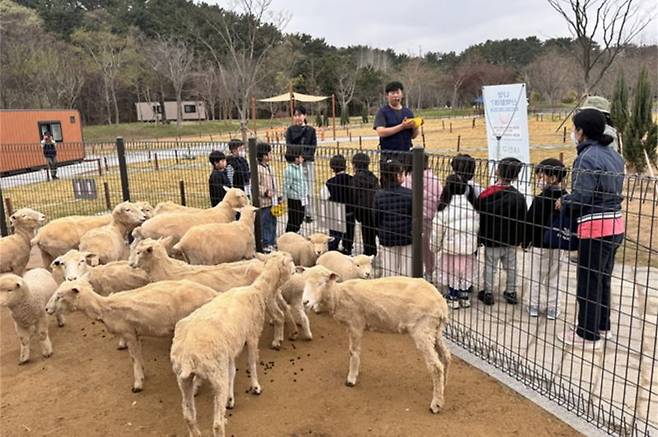 지난해 부산의 한 숲체험관에서 진행된 ‘산림교육 프로그램’ 현장. 부산시 제공