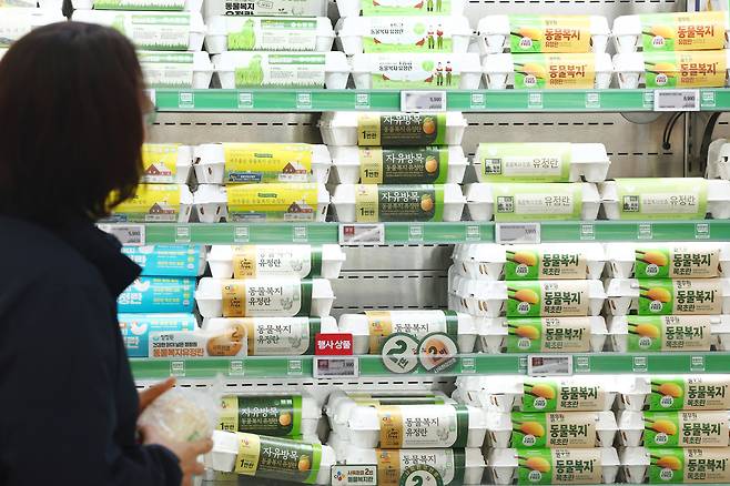 서울의 한 대형마트 계란 판매대 모습.[연합]