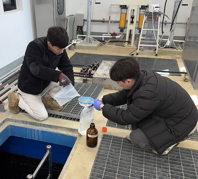 경북보건환경연구원 북부지원이 조류 모니터링을 위한 시료를 채취하고 있다. /경북도 제공