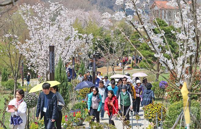 12일 전북 임실군 운암면 옥정호에서 열린 '2026 벚꽃축제'에서 관광객들이 붕어섬 생태공원에서 다양한 꽃들과 벚꽃을 보며 봄을 만끽하고 있다.(임실군제공, 재판매 및 DB금지)2026.4.12 ⓒ 뉴스1 김동규 기자