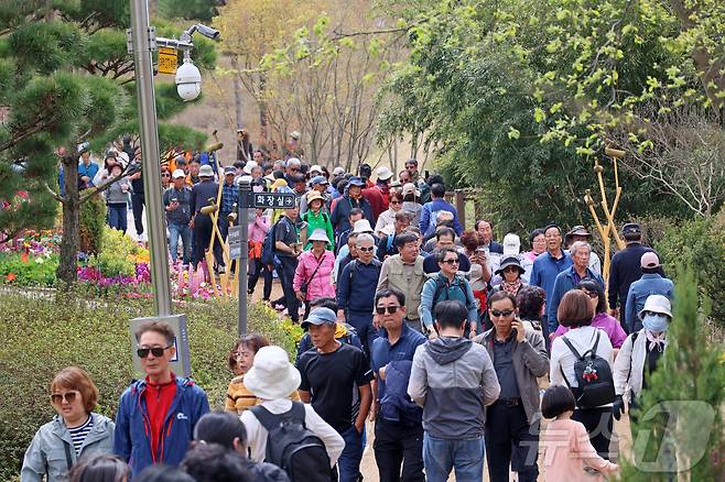 '옥정호 벚꽃축제'가 열리고 있는 12일 전북 임실군 옥정호 붕어섬에 벚꽃과 수선화등 봄꽃이 활짝핀 가운데 출렁다리를 건너가려는 관광객들로 붐비고 있다. (임실군청 제공. 재판매 및 DB 금지) 2026.4.12 ⓒ 뉴스1 유경석 기자
