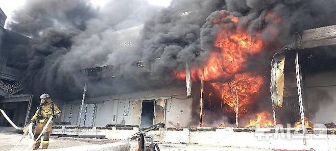 [완도=뉴시스] 12일 오전 8시25분께 전남 완도군 군외면 한 수산물 냉동창고(3693㎡)에서 불이 나 소방당국이 진화작업을 벌이고 있다. (사진 = 독자 제공) 2026.04.12. photo@newsis.com