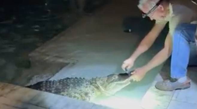 악어의 입을 봉쇄하는 포획 전문가 [폭스웨더 캡처]