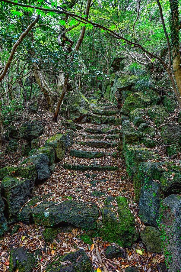동백동산에서 가장 높은 상돌언덕. 예전에는 이곳에 올라 바다를 조망했다고 한다.