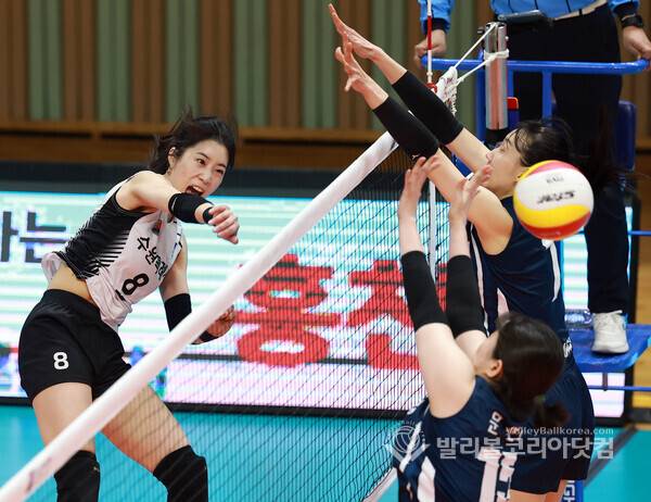 수원시청 백채림.2026.04.13.