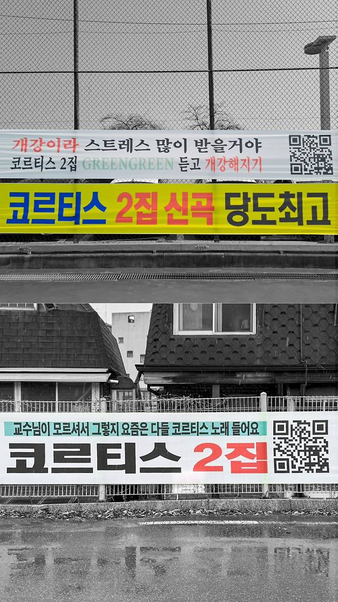 코르티스