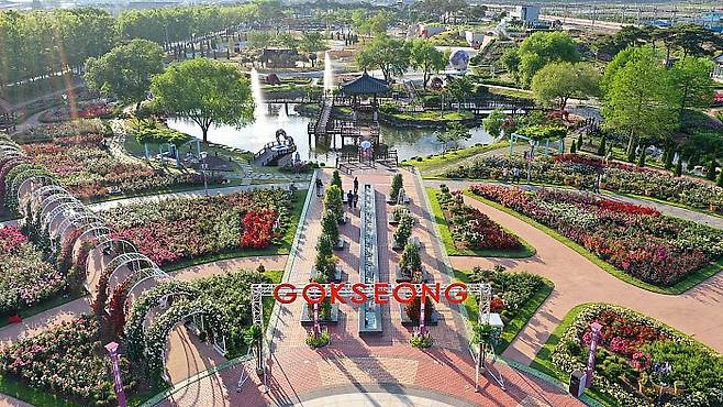 수억만송이 장미꽃을 피워올린 곡성 기차마을 1,004 장미공원 모습. 연못 한가운데 자리잡은 정자가 소망정이다..<곡성군 제공>