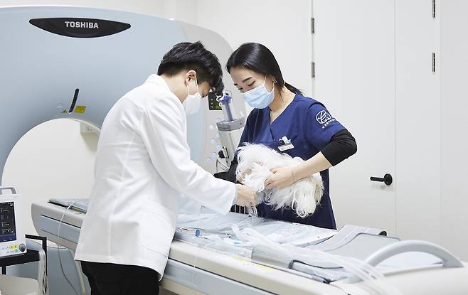 반려견 정기 건강검진을 통한 추적 관찰로 신장 종양을 조기에 발견한 사례가 공개됐다. 사진은 본동물의료센터에서 CT 검사를 진행하는 모습(병원 제공) ⓒ 뉴스1