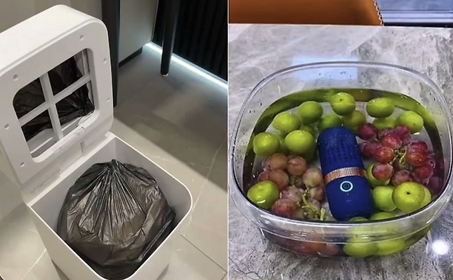 이 같은 특징은 소셜미디어)에서도 확산하고 있다. 'Korean cleaning(한국식 청소)' 해시태그와 함께 한국의 청소 문화와 다양한 가전제품이 공유되며 글로벌 이용자들의 관심을 끌고 있다 사진은 자동 밀봉 쓰레기통과 과일·채소 살균기. 틱톡