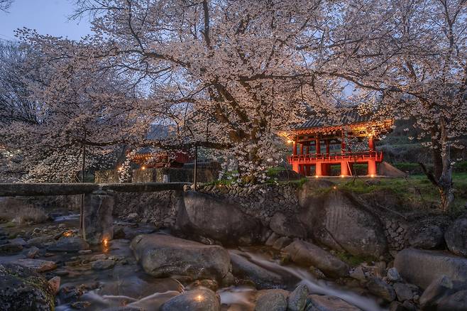 야경으로 가장 좋은 순간의 사진이다. 이보다 점점 어두워질수록 노란 조명빛이 강해지고 조명빛이 닿지 않는 자연의 색은 검게 색을 잃어간다./박상훈 기자