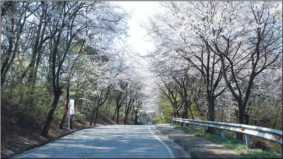 아신대 캠퍼스 전경