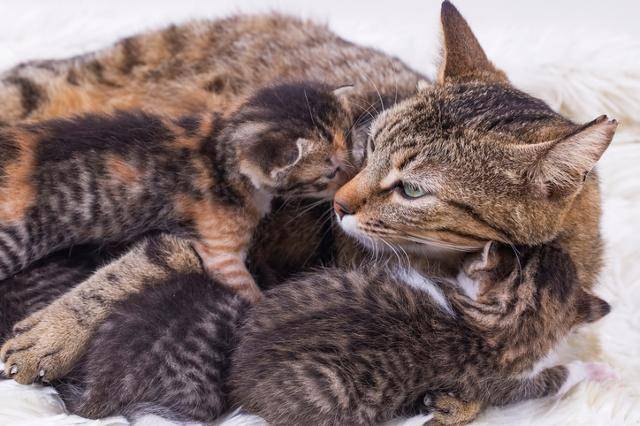 게티이미지뱅크