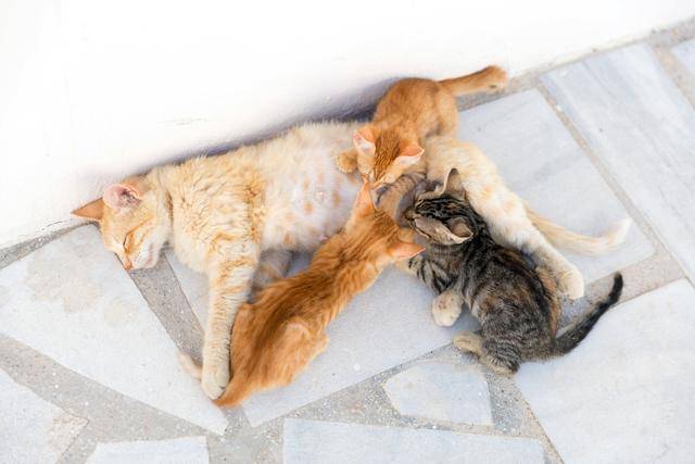 게티이미지뱅크