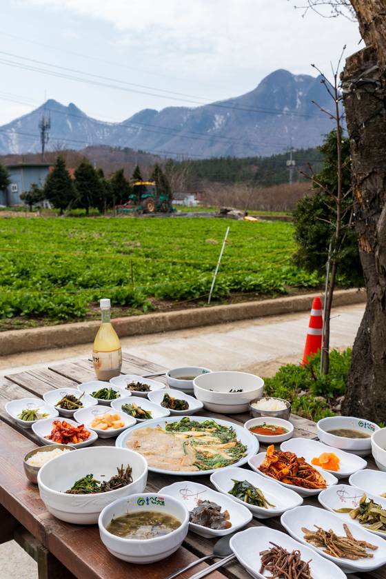 나리분지 나리촌의 산채 정식. 백종현 기자