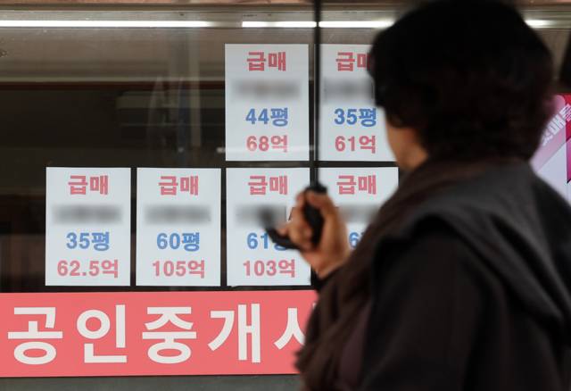 ▲ 서울의 한 부동산 중개업소 앞 [연합뉴스 자료사진]