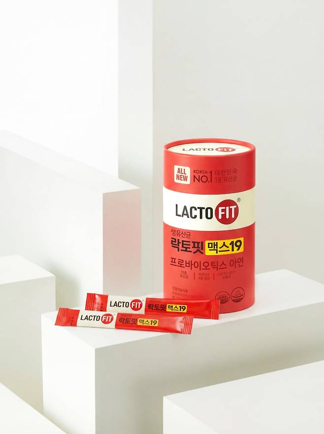 락토핏 맥스19