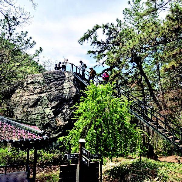 탑돌이 공룡발자국은 10ｍ 높이 바위 위에 있어 철계단을 올라가야 볼 수 있다.