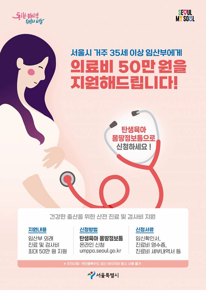 서울시는 '35세 이상 임산부 의료비 지원사업'을 상시 운영하고 있다고 15일 밝혔다./사진제공=서울시