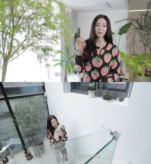 배우 김사랑 집/유튜브 채널 '김사랑'