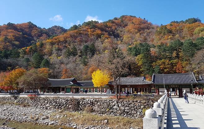 백담사[함영훈 기자]