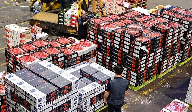 서울 가락동 농수산물도매시장에서 다가오는 추석을 앞두고 상인들이 분주히 과일상자를 옮기고 있다. 이상섭 기자