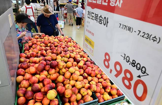 서울 서초구 하나로마트 양재점에서 시민들이 과일을 고르고 있다.  이상섭 기자