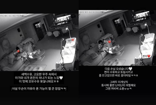 초아 사회관계망서비스 계정