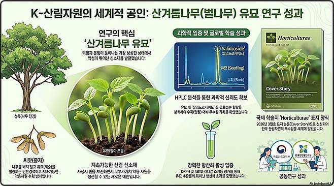 [대전=뉴시스]국립산림과학원이 산림자원인 산겨릅나무 유묘(새싹)이 기존 약용 부위로 이용된 수피(껍질)보다 기능성 성분 함량이 우수하다는 사실을 과학적으로 입증했다.(사진=국립산림과학원 제공) *재판매 및 DB 금지