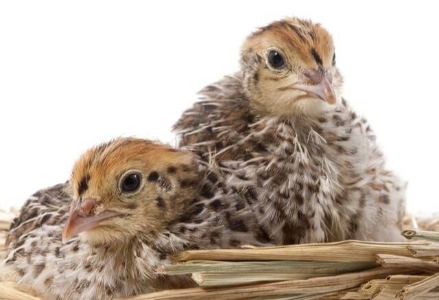 게티이미지뱅크