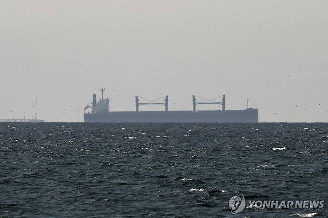 호르무즈 해협 인근을 항해하는 화물선 [로이터=연합뉴스 자료사진. 재판매 및 DB 금지]