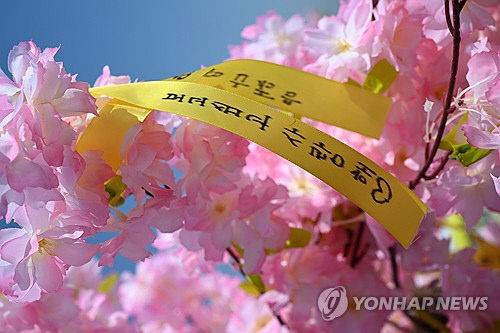 세월호 참사 12주기인 16일 오전 전남 진도군 맹골수도 참사해역에서 열린 선상추모식 중 유족이 적은 추모 리본이 벚꽃 조형물에 매달려 있다. 공동 취재