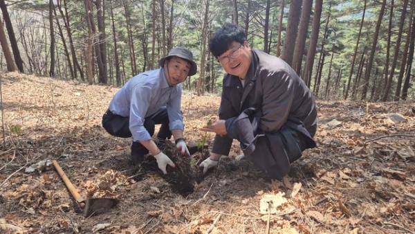 평창국유림관리소(소장:이명규)는 15일 대화면 하안미리 가리왕산 산림생태관리센터에서 창립 100주년 및 제81회 식목일을 기념한 ‘가리왕산 소나무 명품숲 후계림 조성’ 나무심기 행사를 개최했다. 사진은 김근태 평창소방서장이 묘목을 심는 모습.