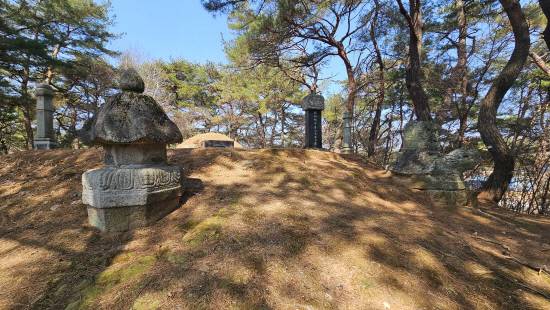 단종 태실지에 친일인사 최연국의 묘가 조성돼 있다.