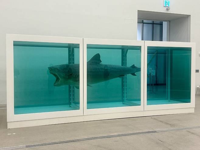 데이미언 허스트 작품&nbsp;'살아있는 자의 마음 속 죽음의 물리적 불가능성'.&nbsp;(사진 곽은영 기자)/뉴스펭귄