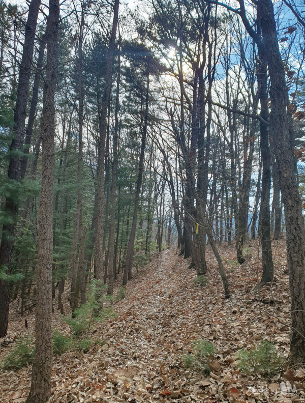 퇴계 이황 선생은 천석고황&nbsp;[泉石膏肓] 을 찬연하게 노래 했다. 산수 자연을 너무 사랑하는 정도에 몰두하여 마치&nbsp;고치기&nbsp;어려운&nbsp;깊은&nbsp;병과&nbsp;같다는 천석고황, 자연을 사람하는 사람만이 아는 특권이리라.&nbsp;