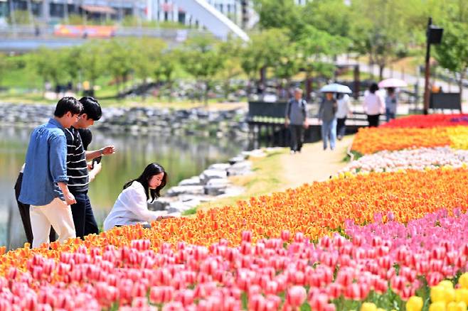 미사호수공원 일대에 핀 튤립을 시민들이 구경하고 있다.(사진=하남시)