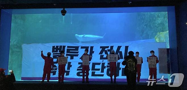 2012년 12월 해양생물보호단체 '핫핑크돌핀스' 활동가들이 롯데월드 아쿠아리움 앞에서 벨루가 벨라 방류를 촉구하며 현수막 시위를 벌이고 있다./(핫핑크돌핀스 측 제공)