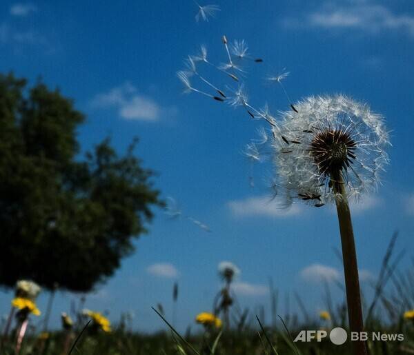 사진은 칼럼과 관련 없는 참고 이미지입니다. 사진제공=ⓒAFPBBNews = News1 (사진을 무단으로 사용하지 마십시오.)